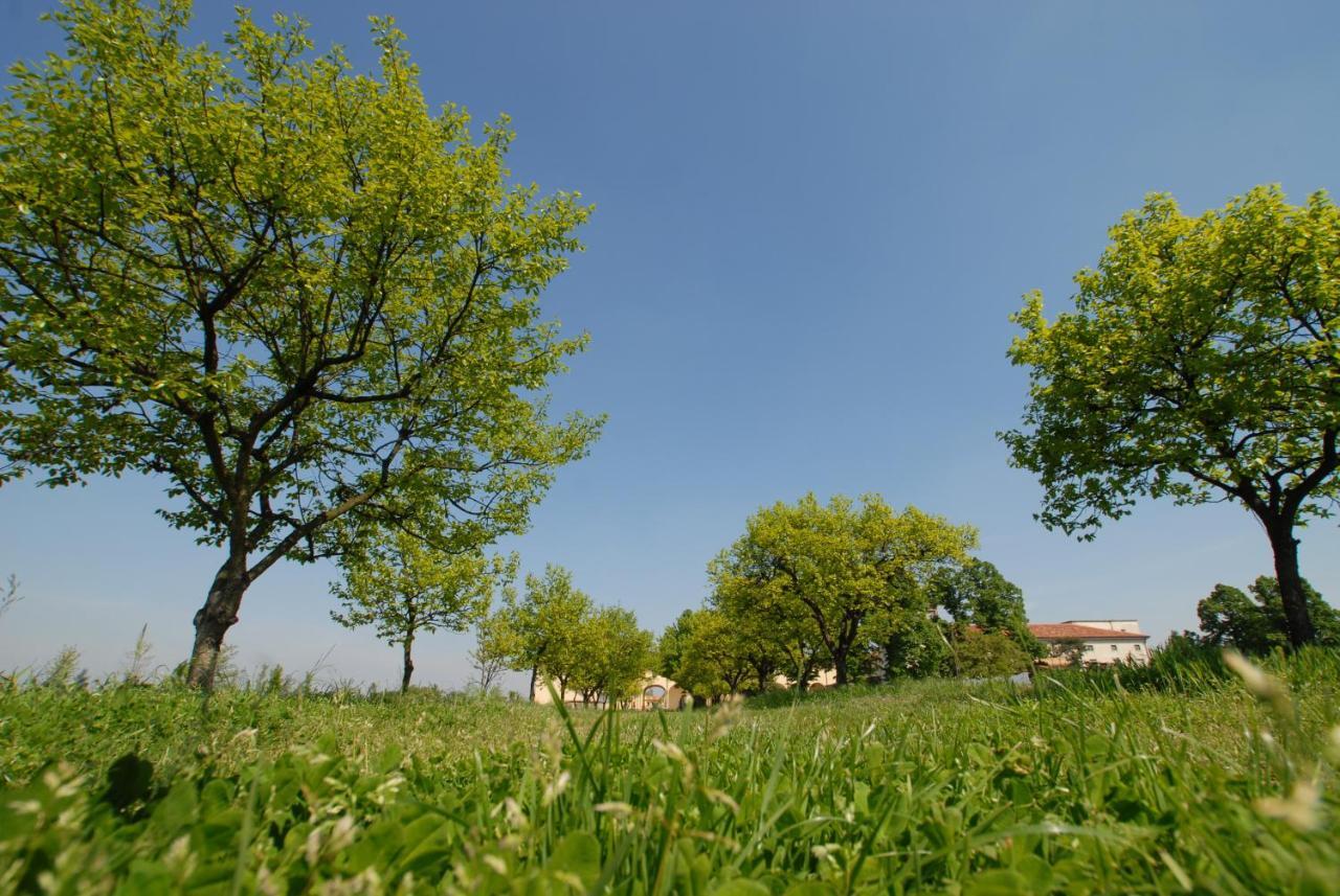 Agriturismo Corte Carezzabella San Martino di Venezze Exterior foto